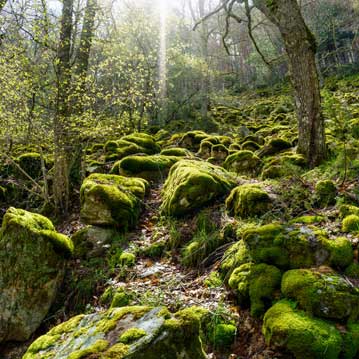 Suelo epoxi autonivelante para garaje en Huesca